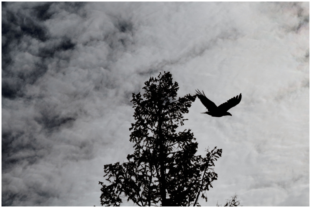 11 - Kelowna (3).jpg